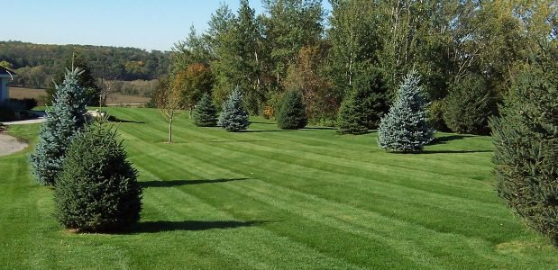How to Mow Like the Pros