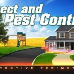 Surface Feeding Insect Control