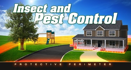 Surface Feeding Insect Control
