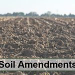 Soil Amendment