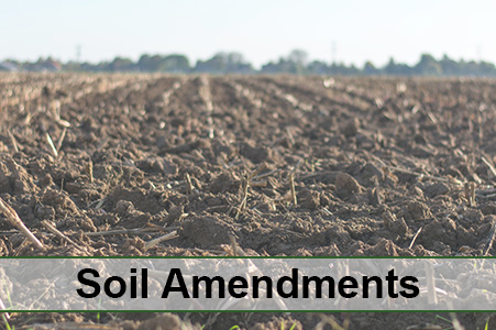 What Does Amending Your Soil Mean?